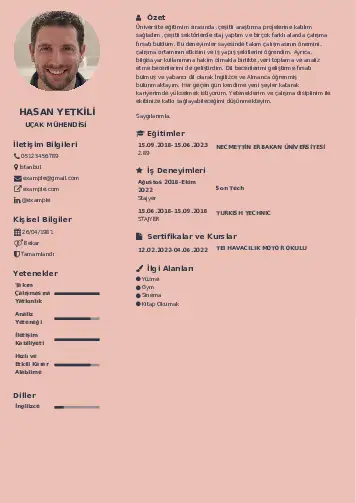 Havacılık Ve Uzay Uçak Mühendisi Cv Örnekleri cv indir